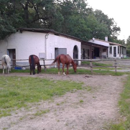 Villa ferme équestre des abrons Pailloles Esterno foto